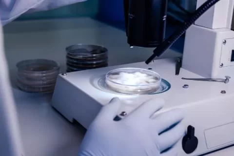 composite-lab-600-400-691d7dd477cc4