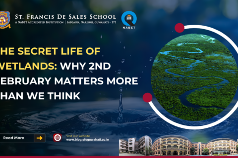 DIEP-at-SFS-Guwahati